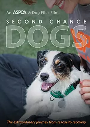 Second Chance Dogs