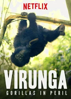 Virunga: Gorillas in Peril