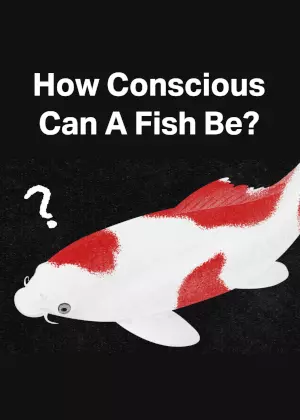 How Conscious Can A Fish Be?